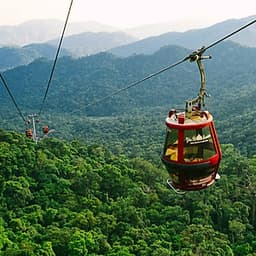 Tour du xuân 2020 - Chùa Ba Vàng - Yên Tử 1 ngày, khởi hành từ Hà Nội