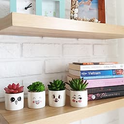 Bộ 4 chậu sen đá nhân tạo mini họa tiết hoạt hình đáng yêu