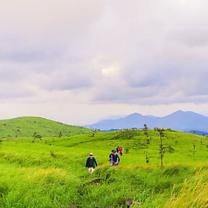 Tour 2N3Đ Sài Gòn - Trekking Thảo Nguyên Pal Sol - Tỉnh Đăk Lăk, Xe Giường Nằm, Khởi Hành Tối Thứ 6 Hàng Tuần