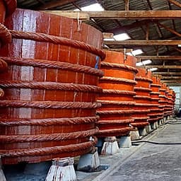 [Tour Tết 2021] Phú Quốc 3N2Đ Từ HCM, Khách Sạn 5 Sao, Gồm Vé Máy Bay, Khởi Hành Mùng 2, 3, 4, 7