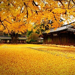 [HCM] Tour Hàn Quốc 5N4Đ, Giờ Bay Đẹp, Khởi Hành Tháng 04, 05, 06, Lễ 30/4