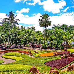 Vé Cổng Tham Quan Vườn Nhiệt Đới Nong Nooch Ở Pattaya, Thái Lan