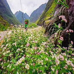 Khám phá vẻ đẹp núi rừng Đông Bắc 5 ngày 4 đêm
