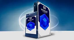 Ổ Cứng SSD WD Blue 3D NAND 250GB M.2 2280 WDS250G2B0B - Hàng Chính Hãng