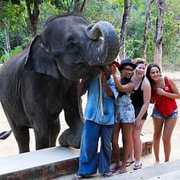 Vé Phuket Safari Gói D + Bữa Tối (14:30-19:00)