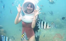 NHA TRANG - Tour đi bộ dưới đáy biển 1 ngày, có ăn trưa