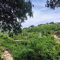 [Tour Tết 2021] 2N2Đ Sài Gòn - Núi Chúa - Vịnh Vĩnh Hy - Leo Núi Trekking 7Km - Suối Lồ Ồ - Cắm Trại Lalaland Camping Bên Biển, Khởi Hành Mùng 4 Tết
