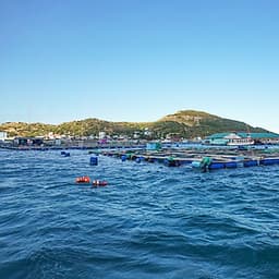 Tour Du lịch Bình Ba 2 Ngày 2 Đêm - Tiệc Bar trên biển - BBQ Hải sản