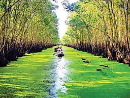 Tour Miền Tây 4N3Đ khởi hành Hà Nội