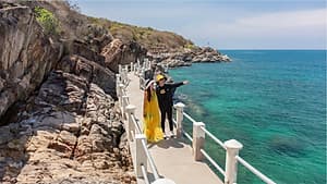 Combo Tour Đảo Yến Đông Tằm và Tour Hang Rái Vườn Nho Đồng Cừu
