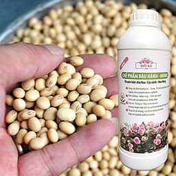 Phân bón hữu cơ đậu tương, đậu nành trứng chuối humic DOCNEEM kích mầm, chồi, hoa chuẩn form trên hoa hồng, cây cảnh, chai 1 lít