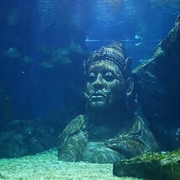 Combo Vé Bảo Tàng Sáp Madame Tussauds Bangkok Và Vé Thủy Cung Sea Life Bangkok