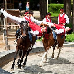 Vé Tham Quan Korean Folk Village (Minsok Village) Ở Seoul, Hàn Quốc