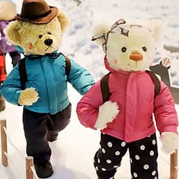 Vé Bảo Tàng Gấu Teddy Jeju, Hàn Quốc