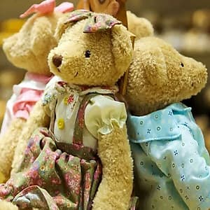 Vé Bảo Tàng Gấu Teddy Jeju, Hàn Quốc