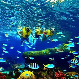 Vé Tham Quan Thủy Cung Sea Aquarium Singapore Tại Sentosa