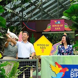 Vé Vườn Chim Jurong (Jurong Bird Park), Singapore