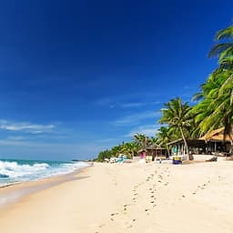 [Tour Xe Lửa] Phan Thiết 2N1Đ Resort 3 Sao, Khởi Hành Hàng Tuần Và Lễ Tết