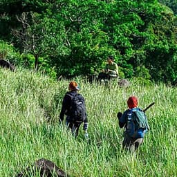 Tour 2N2Đ Sài Gòn - Núi Chúa - Vịnh Vĩnh Hy - Leo Núi Trekking 7Km - Suối Lồ Ồ - Cắm Trại Lalaland Camping Bên Biển, Khởi Hành Tối Thứ 6 Hàng Tuần