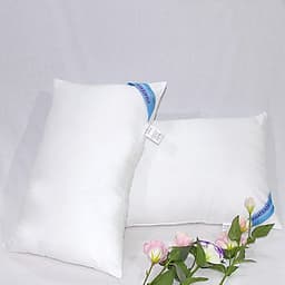 Bộ 2 Ruột Gối Đầu Thắng Lợi