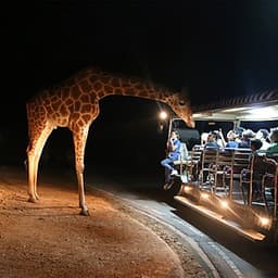 Vé Tham Quan Chiang Mai Night Safari, Thái Lan Ban Ngày (15:00 - 16:30)