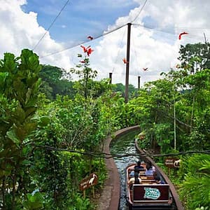 Vé Tham Quan River Safari Singapore