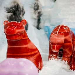 Vé Công Viên Freezing Island Seoul, Hàn Quốc