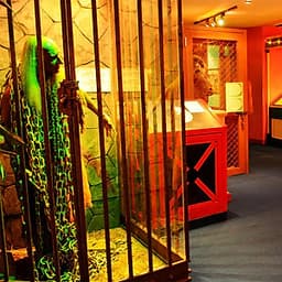 Vé Ripley'S World Of Entertainment Pattaya, Thái Lan (Loại Vé 7 Khu Triễn Lãm)