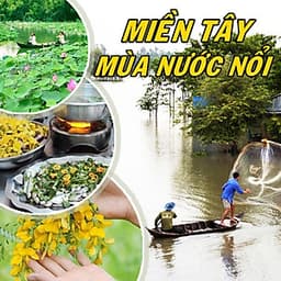 Tour Mùa Nước Nổi 2N1Đ: Cao Lãnh - Sa Đéc - Tràm Chim Tam Nông - Đồng Tháp Mười, Khởi Hành Thứ 7 & Dịp Lễ