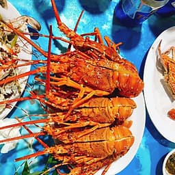 Tour Du lịch Bình Ba 2 Ngày 2 Đêm - Tiệc Bar trên biển - BBQ Hải sản
