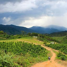 Tour 2N2Đ Sài Gòn - Thác Phi Liêng - Lâm Đồng - Trekking Đại Ngàn Tây Nguyên, Khởi Hành Tối Thứ 6 Hàng Tuần