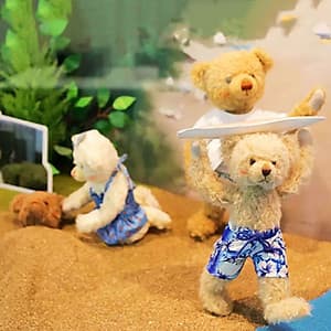 Vé Bảo Tàng Gấu Teddy Jeju, Hàn Quốc