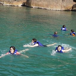 Tour lặn ngắm san hô sơn Trà không ăn đón bãi Rạng