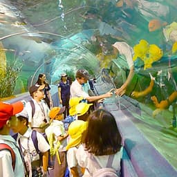 Vé Tham Quan Chiang Mai Zoo Aquarium, Thái Lan