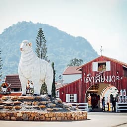 Vé Nông Trại Cừu Swiss Sheep Farm Pattaya
