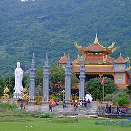 Tour đi bộ dưới biển Cù Lao Chàm Happy Day - Thứ 3 hàng tuần