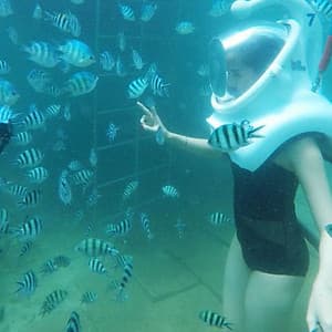 Tour đi bộ dưới biển Cù Lao Chàm Happy Day - Thứ 3 hàng tuần
