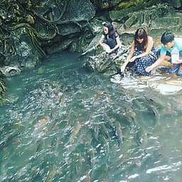 Tour 4N3Đ Hà Nội - Mai Châu - Pù Luông - Suối Cá Thần - Thung Nham - Chùa Tam Chúc, Khởi Hành Thứ 5 Hàng Tuần & Dịp Lễ Tết