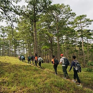 [Tour Tết 2021] 2N3Đ Sài Gòn - Trekking Núi Bidoup - Sông Đa Nhim - Lâm Đồng - Chinh Phục Đỉnh 2287m, Xe Giường Nằm, Khởi Hành Tối Mùng 4 Tết