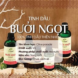Tinh dầu Bưởi Úc 24Care 100ML - Chiết xuất thiên nhiên, khử mùi, thơm phòng, thư giãn tinh thần.