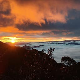 Tour 2N1Đ HN - Đồi Chè Long Cốc - Cu Vai - Suối Khoáng Nóng Trạm Tấu, Khởi Hành Thứ 7 Hàng Tuần