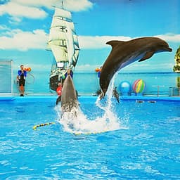 Vé Dolphins Bay Nemo Phuket, Thái Lan - Ghế Thường
