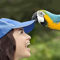 Vé Tham Quan Bali Bird Park, Indonesia