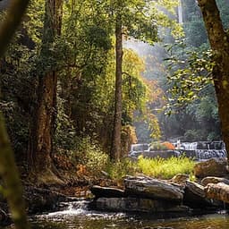 Tour 2N2Đ Sài Gòn - Thác Phi Liêng - Lâm Đồng - Trekking Đại Ngàn Tây Nguyên, Khởi Hành Tối Thứ 6 Hàng Tuần