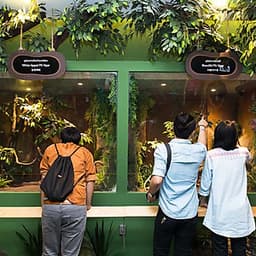 Vé Tham Quan Bảo Tàng Rắn Siam Serpentarium Ở Bangkok, Thái Lan
