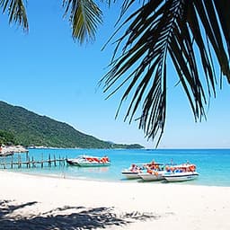 Tour Cù Lao Chàm 01 Ngày, Đón Từ Đà Nẵng, Gồm Lặn Ngắm San Hô & Bữa Trưa Hải Sản