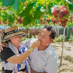 Tour Du lịch Bình Ba 2 Ngày 2 Đêm - Tiệc Bar trên biển - BBQ Hải sản