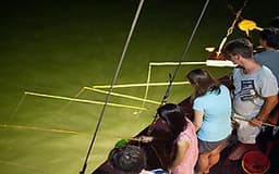 NHA TRANG: Tour Câu Mực Đêm Thú Vị Trải Nghiệm Hoạt Động Câu Mực Và Dùng Bữa Tối Giữa Đại Dương | Tour Trọn Gói Bao Gồm  Gói Bao Gồm Xe Đưa Đón + Tàu Vận Chuyển + HDV + Bữa Tối + Cần Câu