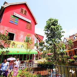 Vé Tham Quan Thành Phố Tình Yêu - Mimosa + Show Cabaret Ở Pattaya, Thái Lan