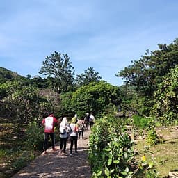[Tour Tết 2021] 2N2Đ Sài Gòn - Núi Chúa - Vịnh Vĩnh Hy - Leo Núi Trekking 7Km - Suối Lồ Ồ - Cắm Trại Lalaland Camping Bên Biển, Khởi Hành Mùng 4 Tết